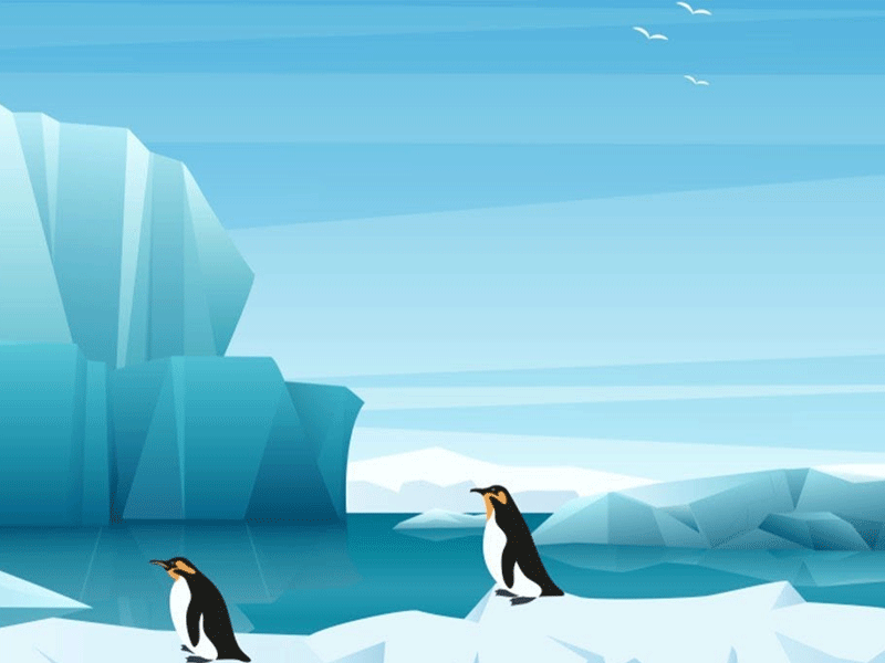 Exploring the Arctic and Antarctic: Fun Facts for Kids